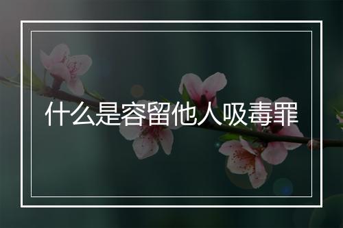 什么是容留他人吸毒罪
