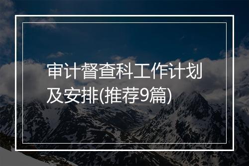 审计督查科工作计划及安排(推荐9篇)