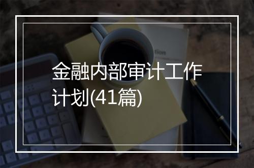 金融内部审计工作计划(41篇)