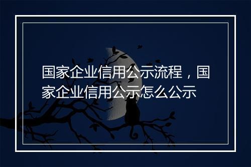 国家企业信用公示流程，国家企业信用公示怎么公示