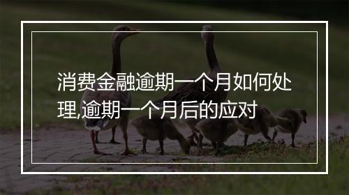 消费金融逾期一个月如何处理,逾期一个月后的应对