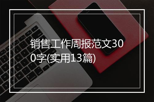 销售工作周报范文300字(实用13篇)