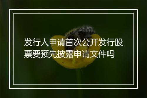 发行人申请首次公开发行股票要预先披露申请文件吗