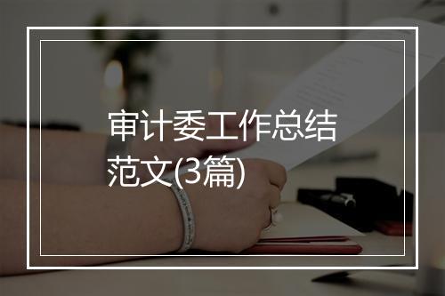 审计委工作总结范文(3篇)