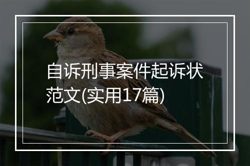 自诉刑事案件起诉状范文(实用17篇)