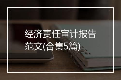 经济责任审计报告范文(合集5篇)