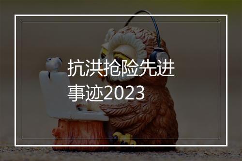 抗洪抢险先进事迹2023