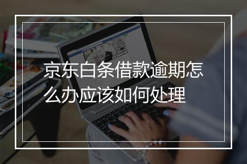 京东白条借款逾期怎么办应该如何处理