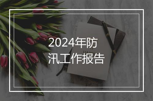 2024年防汛工作报告