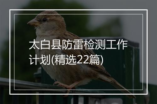 太白县防雷检测工作计划(精选22篇)