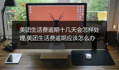 美团生活费逾期十几天会怎样处理,美团生活费逾期应该怎么办