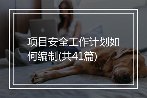 项目安全工作计划如何编制(共41篇)