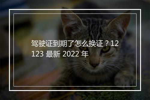 驾驶证到期了怎么换证？12123 最新 2022 年