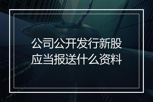 公司公开发行新股应当报送什么资料