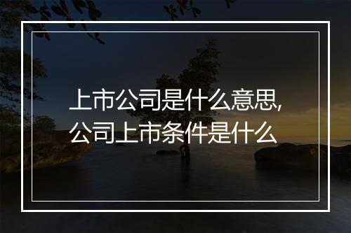 上市公司是什么意思,公司上市条件是什么