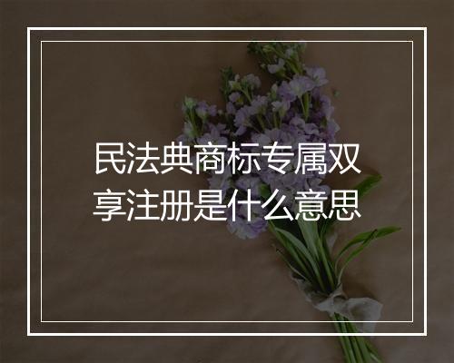 民法典商标专属双享注册是什么意思