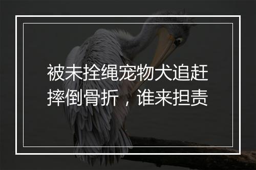 被未拴绳宠物犬追赶摔倒骨折，谁来担责