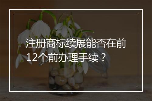注册商标续展能否在前12个前办理手续？