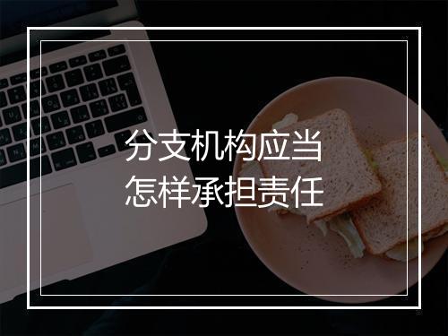 分支机构应当怎样承担责任