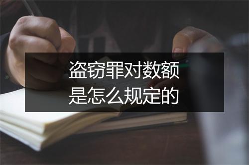 盗窃罪对数额是怎么规定的