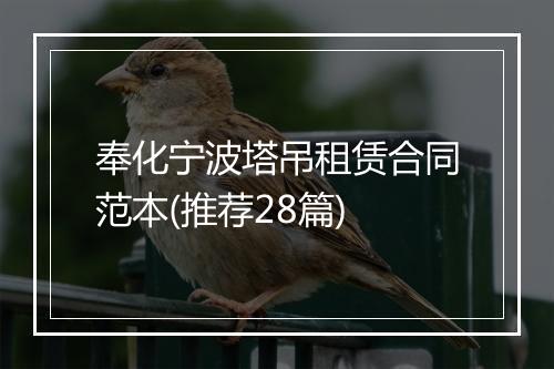 奉化宁波塔吊租赁合同范本(推荐28篇)