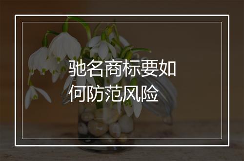 驰名商标要如何防范风险