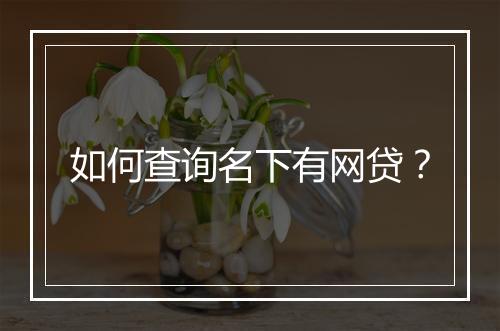 如何查询名下有网贷？