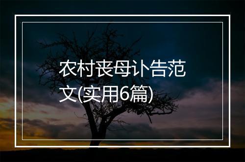 农村丧母讣告范文(实用6篇)