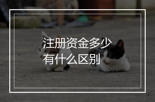 注册资金多少有什么区别