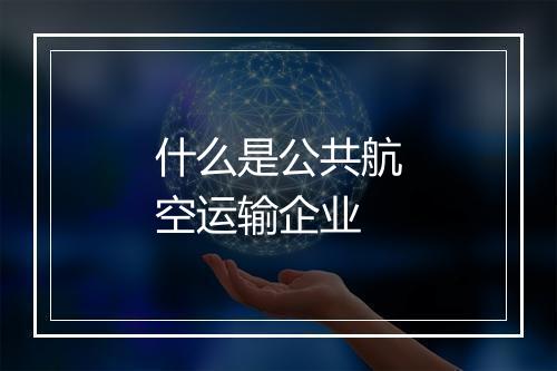 什么是公共航空运输企业