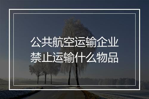 公共航空运输企业禁止运输什么物品