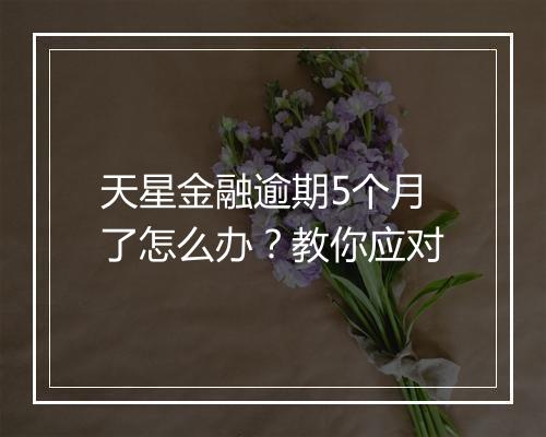 天星金融逾期5个月了怎么办？教你应对