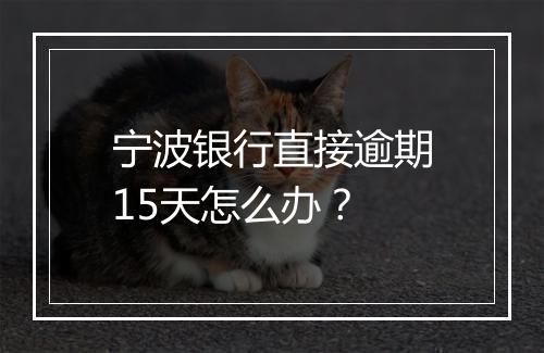 宁波银行直接逾期15天怎么办？