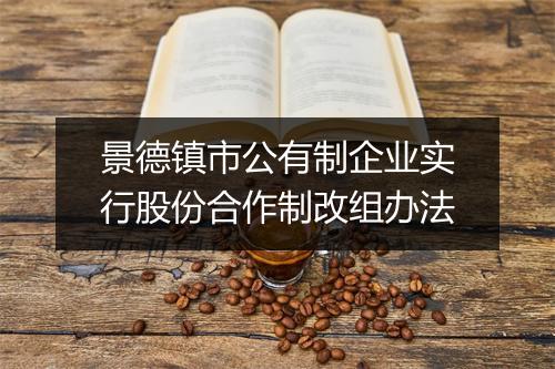 景德镇市公有制企业实行股份合作制改组办法