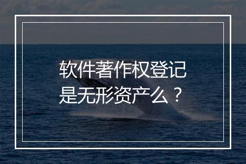 软件著作权登记是无形资产么？