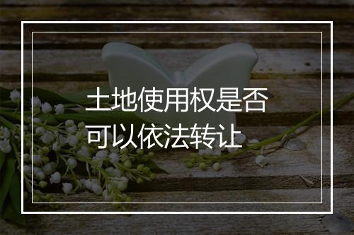 土地使用权是否可以依法转让