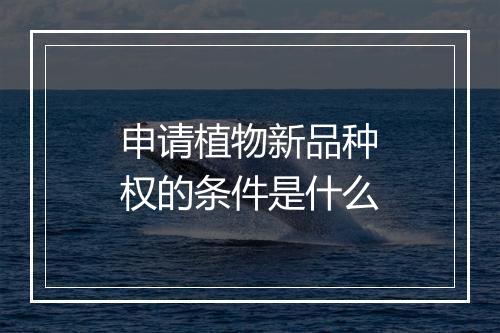 申请植物新品种权的条件是什么