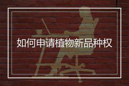 如何申请植物新品种权