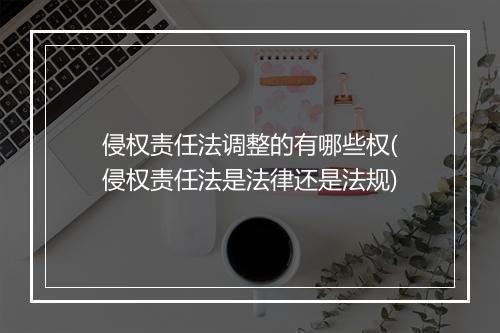 侵权责任法调整的有哪些权(侵权责任法是法律还是法规)