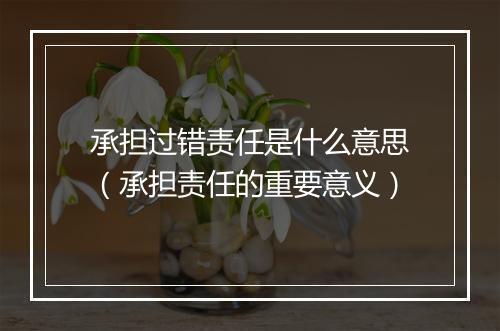 承担过错责任是什么意思（承担责任的重要意义）