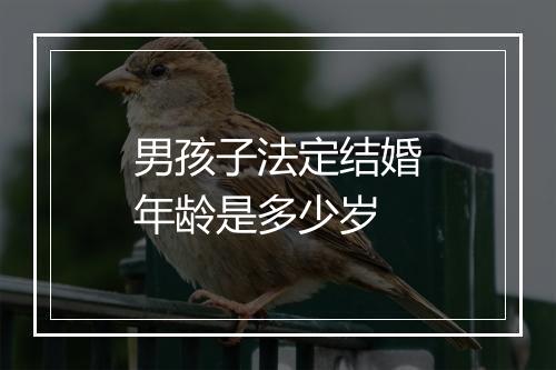 男孩子法定结婚年龄是多少岁
