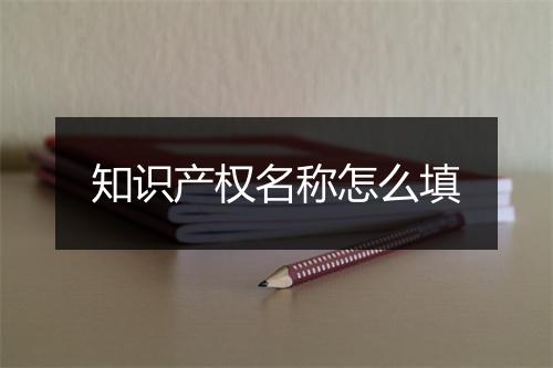 知识产权名称怎么填