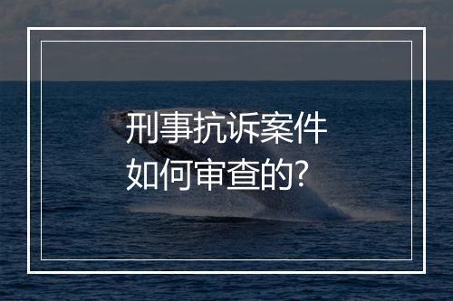 刑事抗诉案件如何审查的?