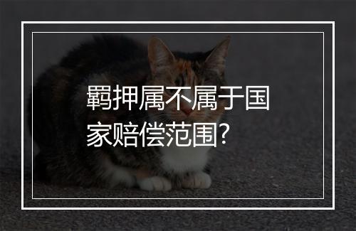羁押属不属于国家赔偿范围?