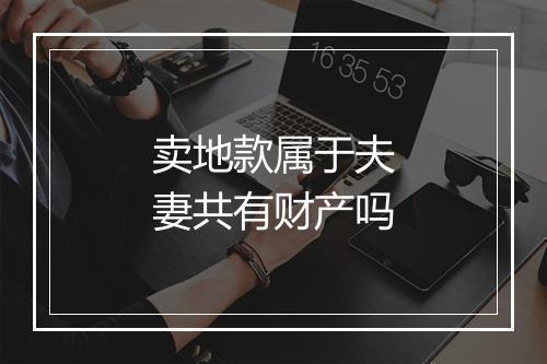 卖地款属于夫妻共有财产吗