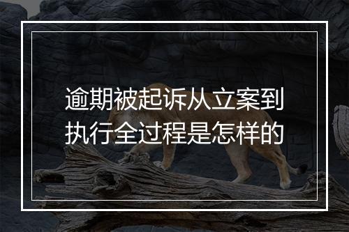 逾期被起诉从立案到执行全过程是怎样的