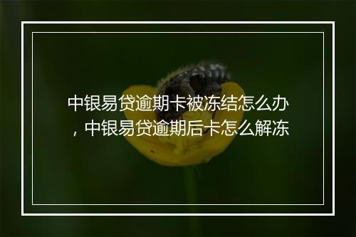 中银易贷逾期卡被冻结怎么办，中银易贷逾期后卡怎么解冻