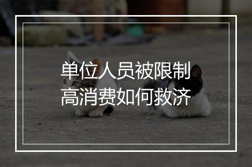 单位人员被限制高消费如何救济