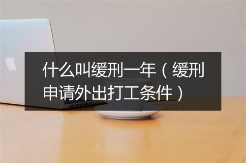 什么叫缓刑一年（缓刑申请外出打工条件）