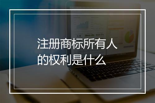 注册商标所有人的权利是什么